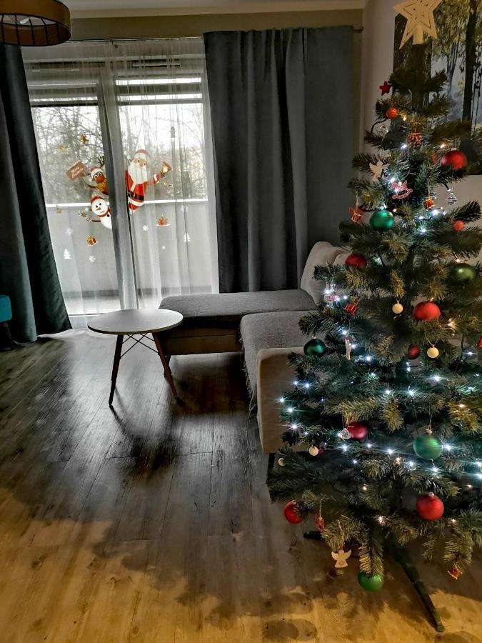 Uroczy Apartament z Garażem Kraków Zewnętrze zdjęcie